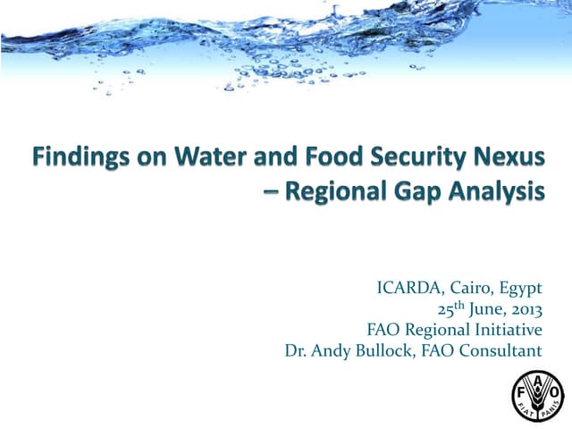 Water and Food Security Nexus Regional Gap Analysis