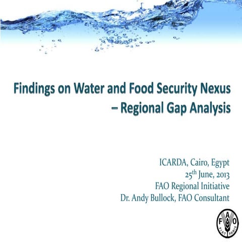 Water and Food Security Nexus Regional Gap Analysis