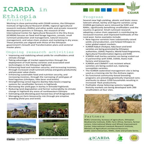 ICARDA in Ethiopia  