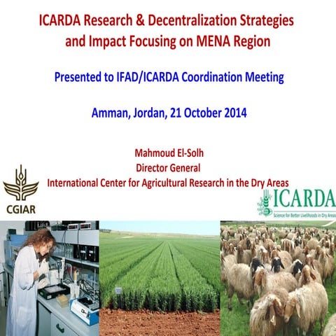 ICARDA Research and Decentralization Strategies 