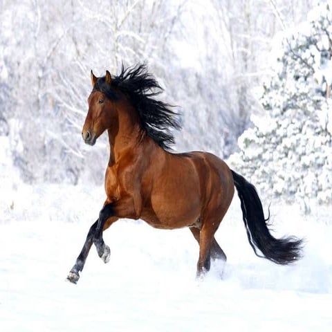 I care for you, because i love you