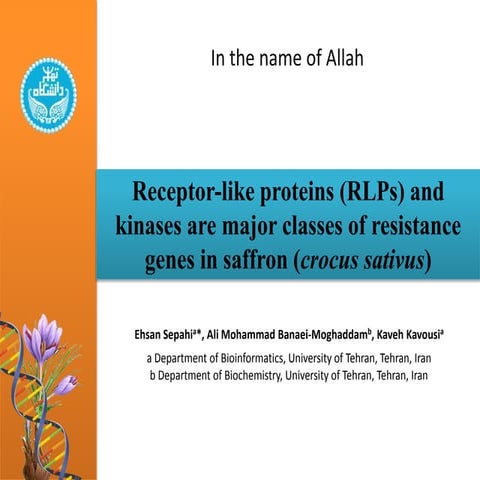 Receptor-like proteins (RLPs) and kinases are major classes of resistance gen...