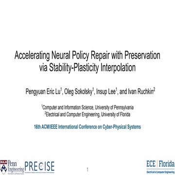 Accelerating Neural Policy Repair with Preservation via Stability-Plasticity Interpolation