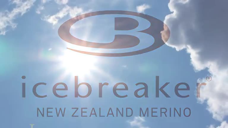 Icebreaker questions for work picture