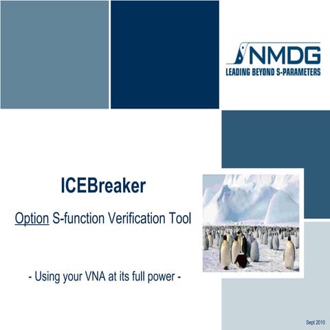 ICEBreaker Option: S- functions Verification