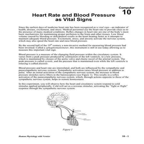 Human blood pressure basics | PDF