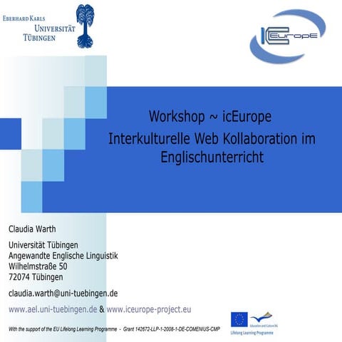 icEurope - das Projekt - Workshop