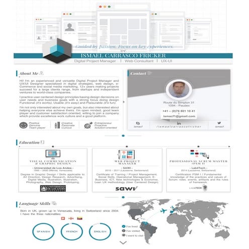Ismael Carrasco Fricker -  resume