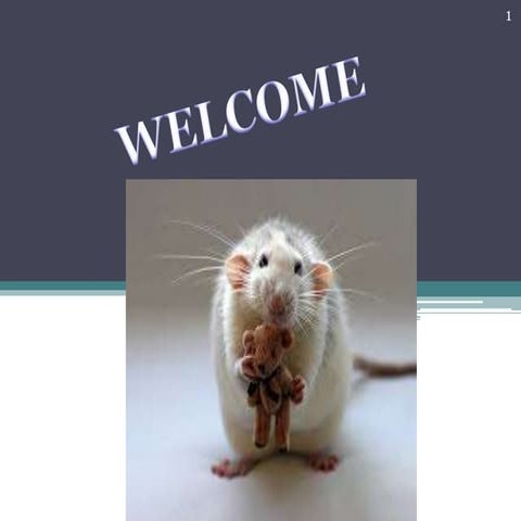 ICH ethics and animal experimentation