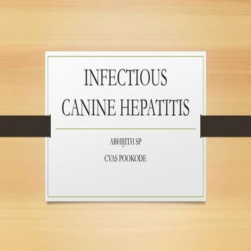 Infectious Canine Hepatitis