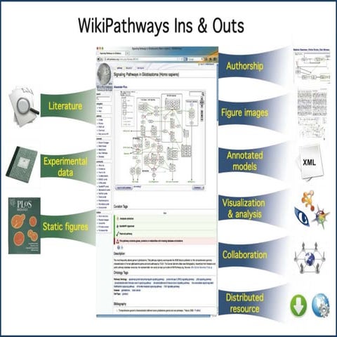 Introduction to WikiPathways