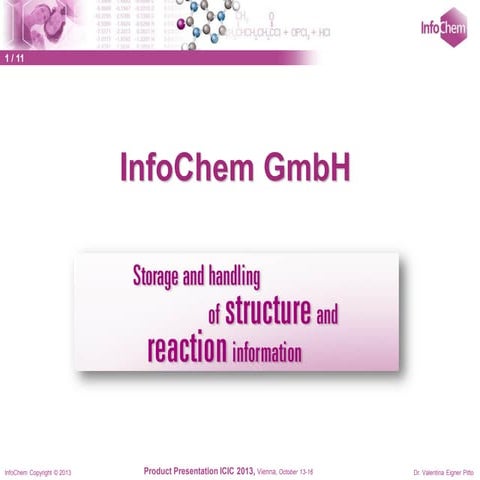 ICIC 2013 New Product Introductions InfoChem