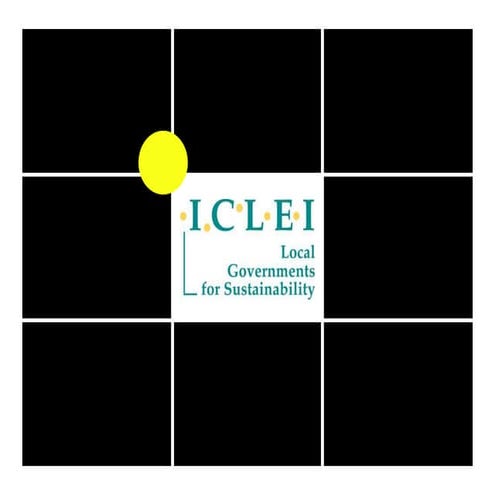 ICLEI Programmes Report - World Congress 2009