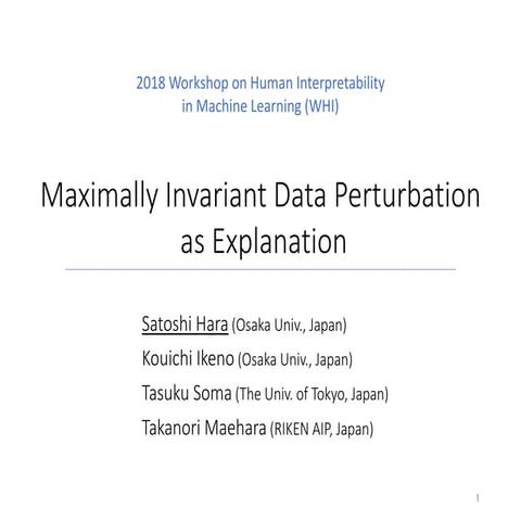 Maximally Invariant Data Perturbation as Explanation