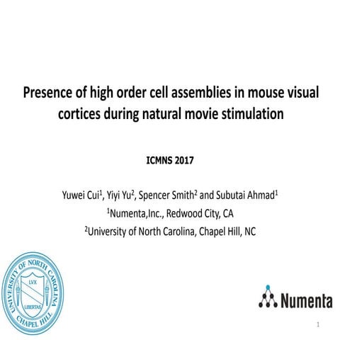 ICMNS Presentation: Presence of high order cell assemblies in mouse visual co...