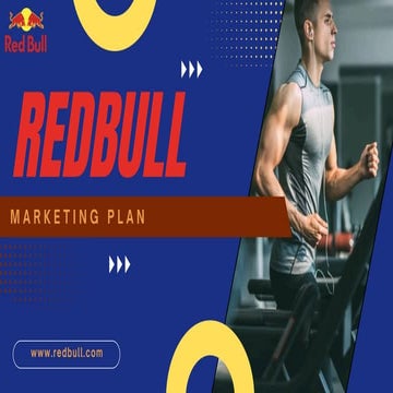 MARKETING PLAN FOR REDBULL NEW PRODUCT LINE.pdf