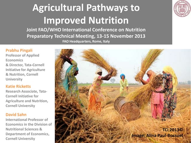 Agricultural Pathways to Improved Nutrition: Getting Policies Right