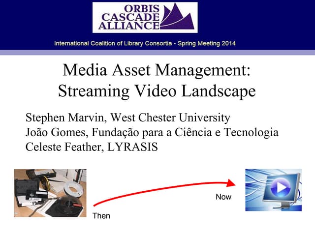 Media Asset Management: Streaming Video Landscape