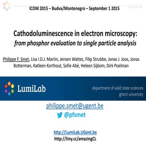 SEM-CL presentation at ICOM 2015 -  Budva Montenegro