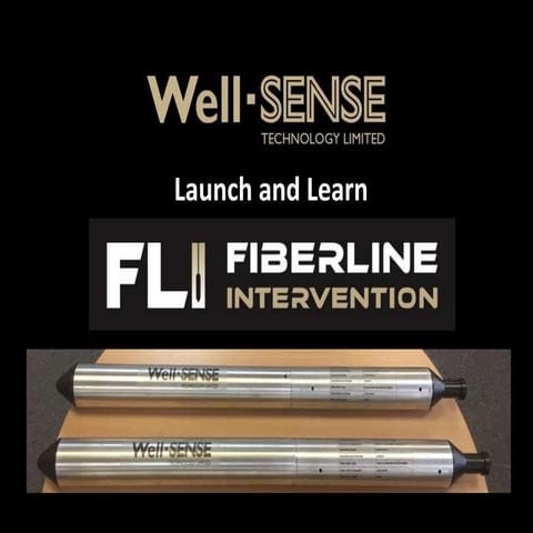 Well-SENSE - Introduction to FLI, Fiberline Intervention | PPTX