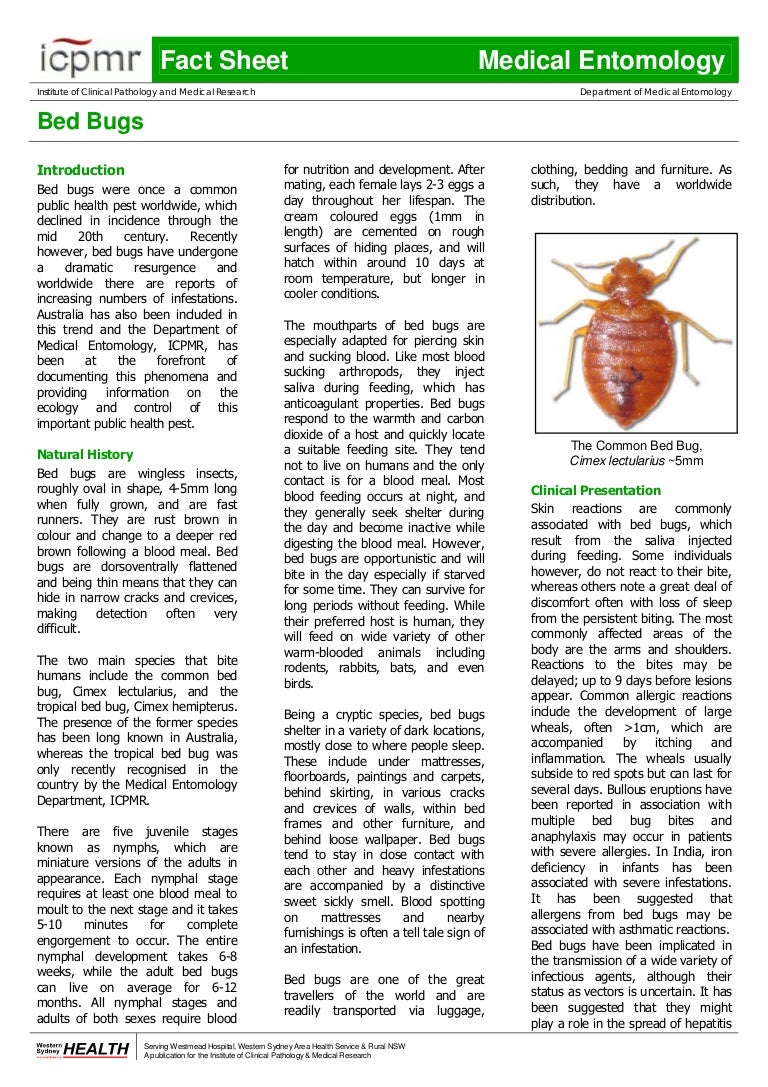 Bed Bugs Fact Sheet