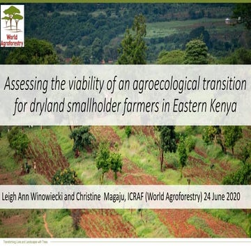 Assessing the viability of an agroecological transition for dryland smallhold...