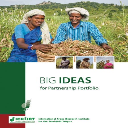 Icrisat big ideas partnership portfolio