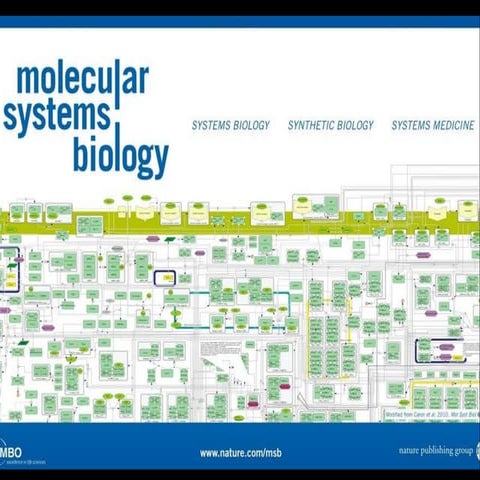 Scientific Publishing