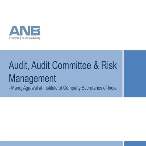 Audit Audit Commite And Risk Management