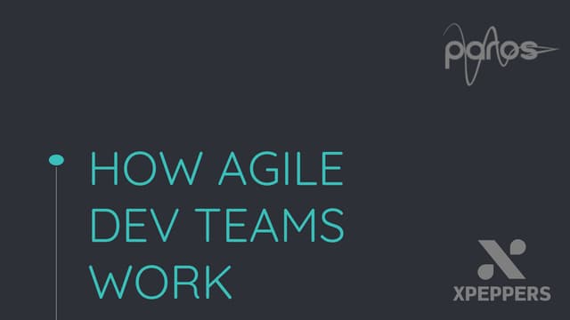 How Agile Dev Teams work
