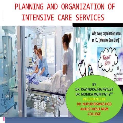 planing and organization of Intensive Cares