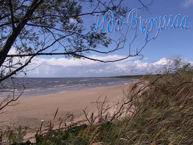 Ida Virumaa1
