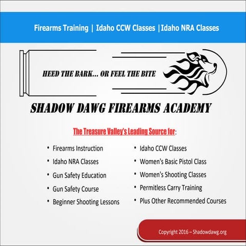 Inside the army's new marksmanship master trainer course | PDF