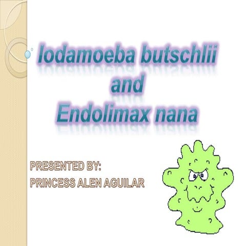 Idamoeba butschlii and e. nana