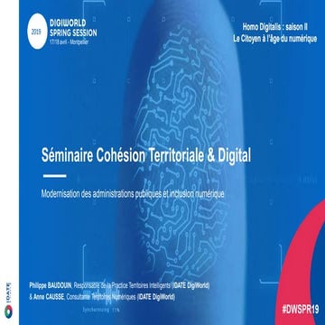 DWSPR19 18042019 Philippe BAUDOUIN et Anne CAUSSE - Cohésion territoriale et ...