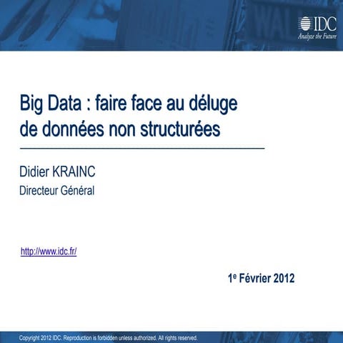Idc big data   dk