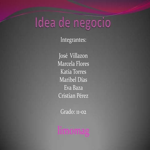 Idea de negocio 11 02
