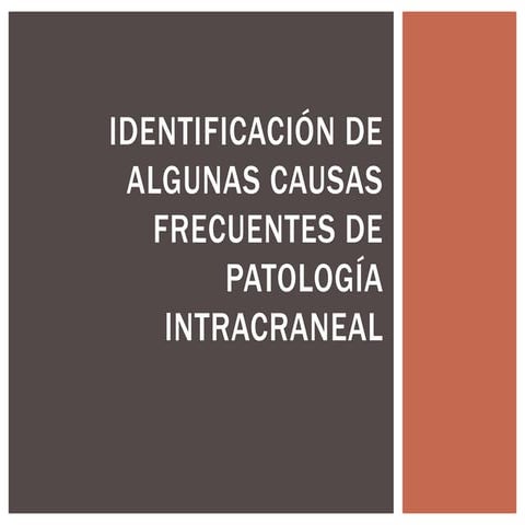 Identificación de algunas causas frecuentes de patología intracraneal ...