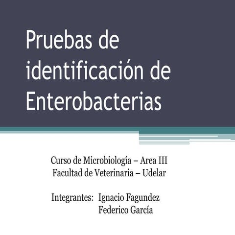 Identificacion de-enterobacterias-micr (1)