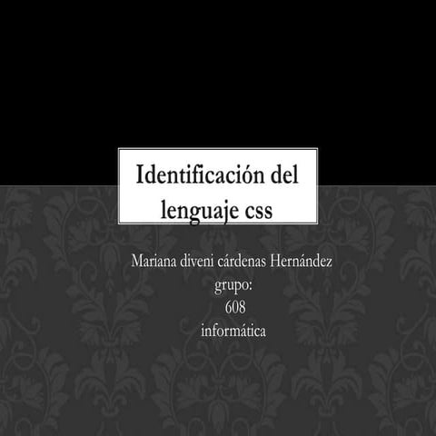 Identificacion del lenguaje css