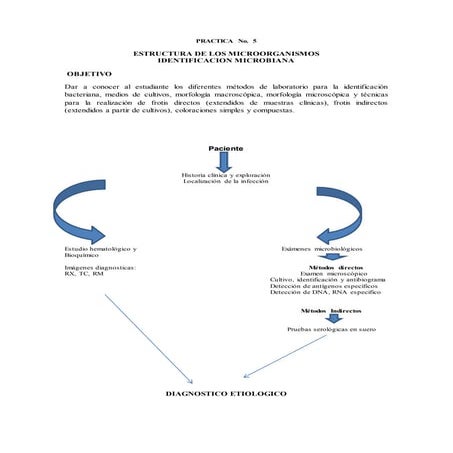 Identificacion microbiana