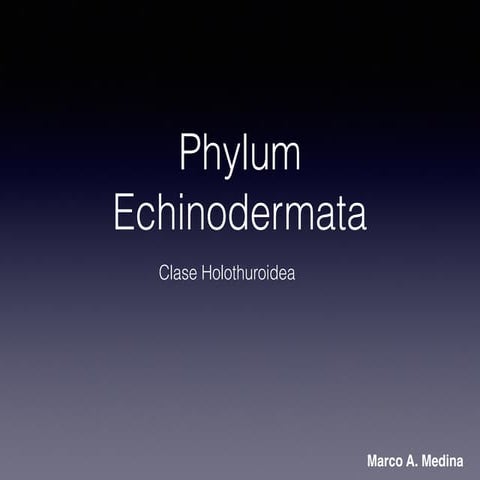 Identificación pepinos para alumnos