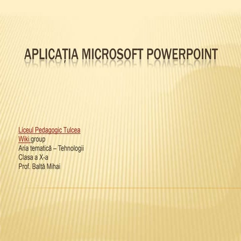 Identificarea nevoilor baltamihai