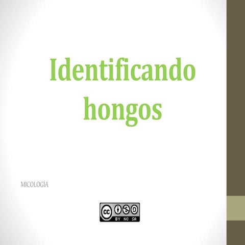 IDENTIFICAR SETAS Y HONGOS OB