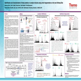 Identification and characterization of intact proteins in complex mixtures