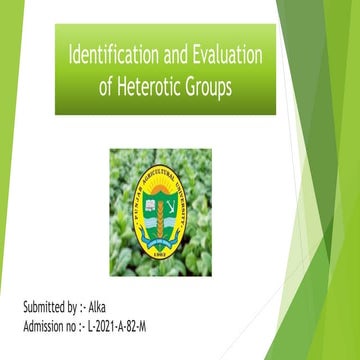 Identification and Evaluation  of Heterotic Groups 4 JULY.pptx