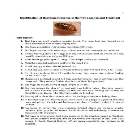 Identification and treatment of bed bugs