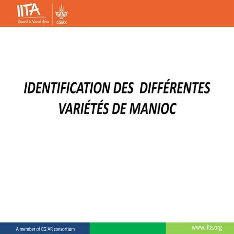 Identification des  différentes variétés de manioc