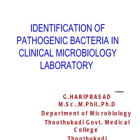 Identification of bacteria, Bacterial identification, Lab identification of b...