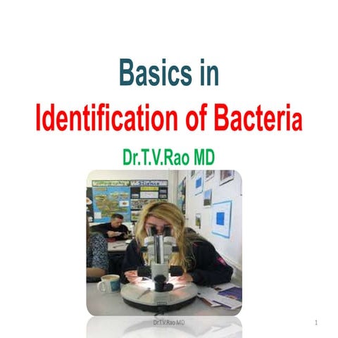 Basics in Identification of Bacteria by Dr.T.V.Rao MD